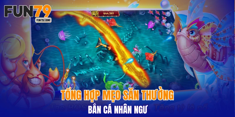 Tổng hợp mẹo săn thưởng bắn cá nhân ngư